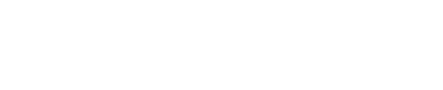 普鴻資訊